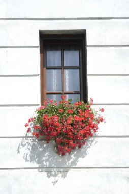 Eski pencere w çiçekler