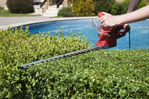 Hedge trimmer — Stock Photo, Image