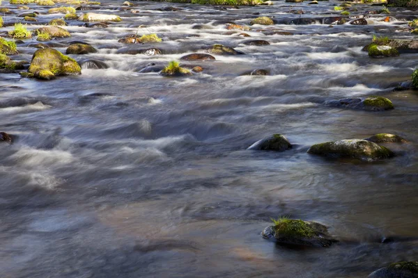 Il fiume corrente — Foto Stock