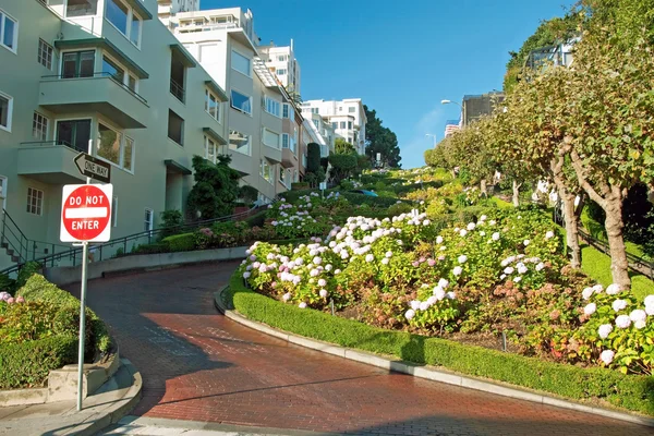 San Francisco 'daki Lombard Caddesi. — Stok fotoğraf