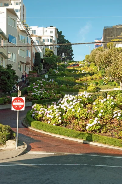 Lombard Street in San Francisco — Stockfoto