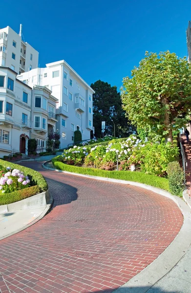 San Francisco 'daki Lombard Caddesi. — Stok fotoğraf