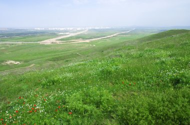 Türkmenistan ashgabad dağda ilkbahar