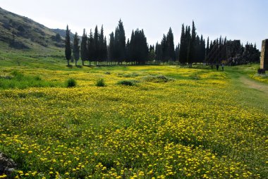 Antik Hierapolis kentinin kalıntıları, ilkbahar zamanı Türkiye