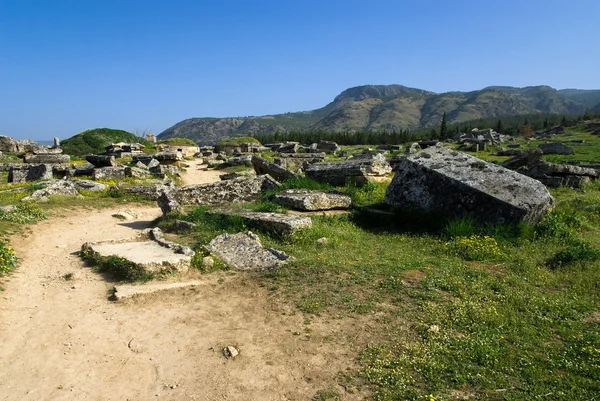 stock image Ruins of the ancient city of Hierapolis spring time,Turkey