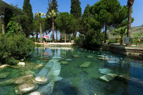 stock image Ancient pool in Pamukkale, Turkey