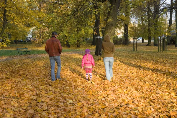 Herbstpark in Polen — Stockfoto