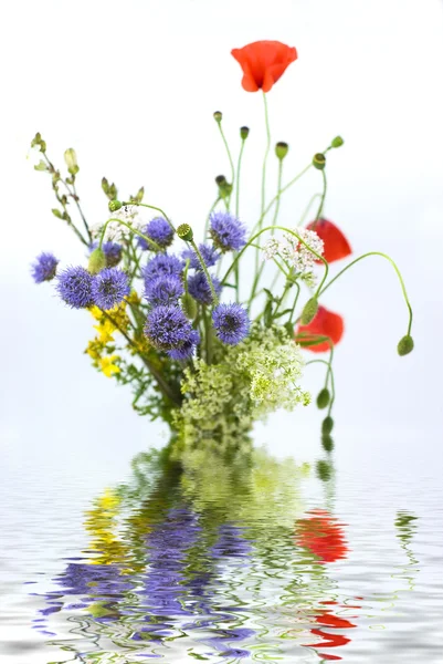 Boeket van verschillende wilde bloemen met weerspiegeling in het water op een witte b — Stockfoto