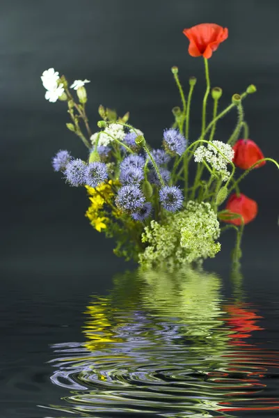 A tükörképét a vízben a sötét ba különböző vad virág csokor — Stock Fotó