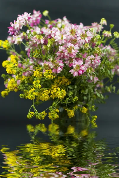 Bukett av olika vilda blommor med reflektion i vattnet på en mörk ba — Stockfoto