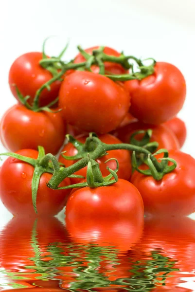 Tomates rojos frescos con un reflejo en el agua sobre un fondo blanco — Foto de Stock