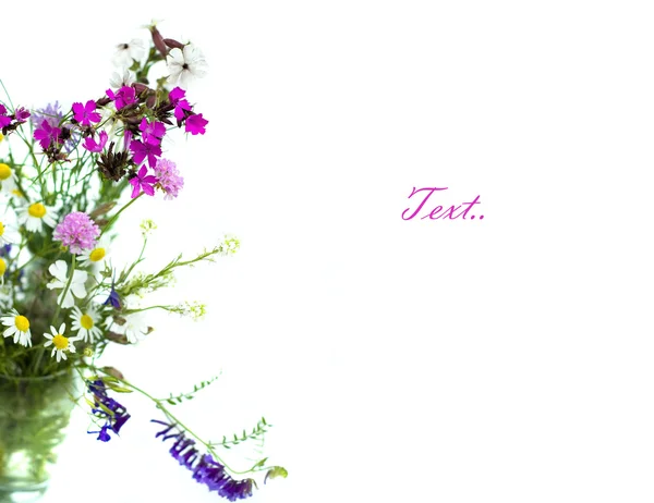 Strauß wilder Blumen auf weißem Hintergrund — Stockfoto