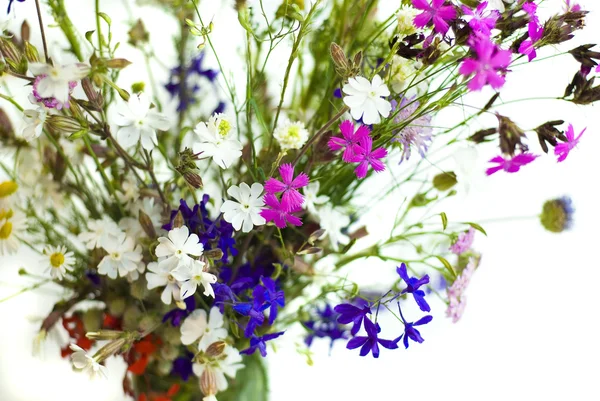 Bouquet de fleurs sauvages sur fond blanc — Photo