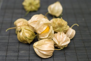 Physalis peruviana kara günü