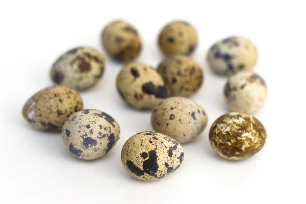 stock image Quail eggs on white background