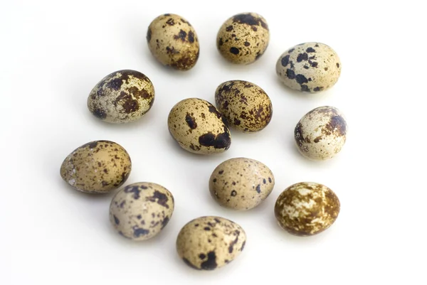 stock image Quail eggs on white background