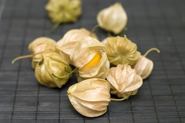 stock image Physalis peruviana on dark