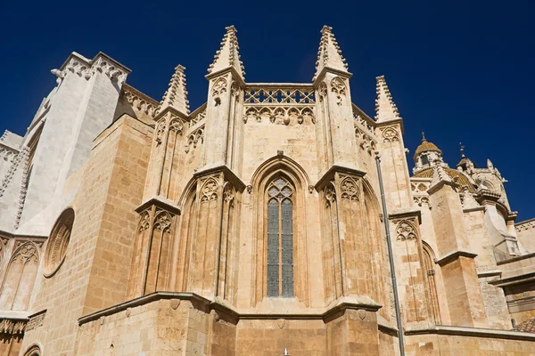 stock image The cathedral in Spain.