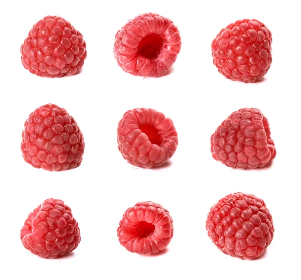 Collection of sweet raspberries Stock Picture