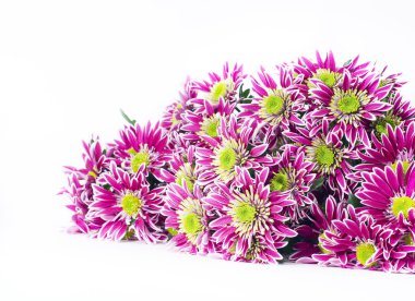 Bouquet of pink chrysanthemums