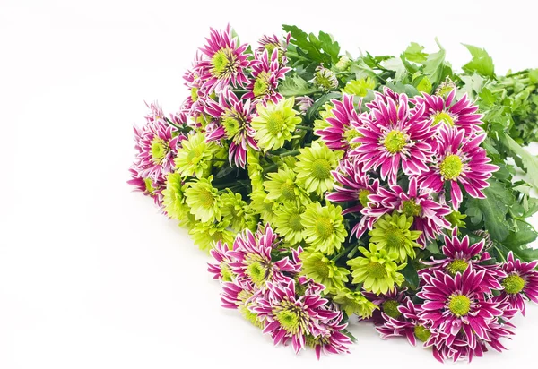 Strauß Chrysanthemen — Stockfoto