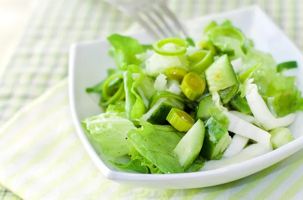 绿色沙拉 — 图库照片