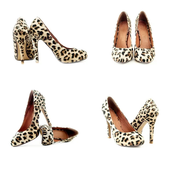 Sapatos de leopardo na moda — Fotografia de Stock