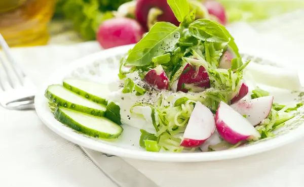 Čerstvý jarní salát — Stock fotografie