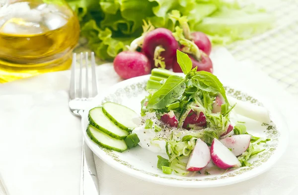 Čerstvý jarní salát — Stock fotografie