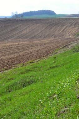 Bahar Alanı.