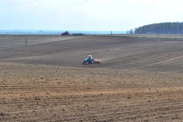 Campaña de siembra en la granja colectiva bielorrusa . —  Fotos de Stock
