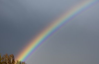 Rainbow 4