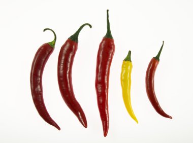 Chili 02