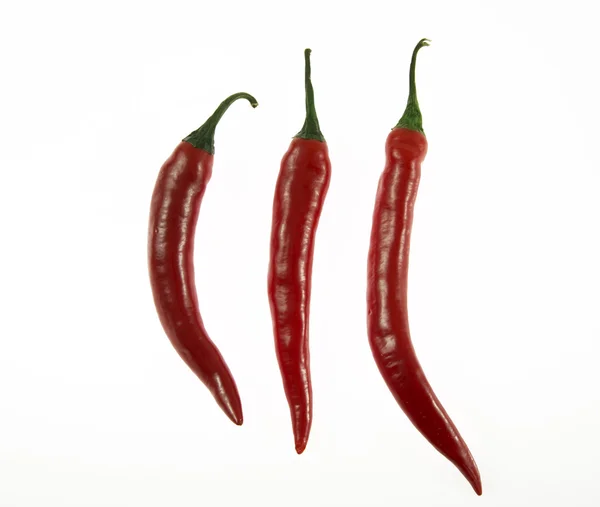 stock image Chili 03