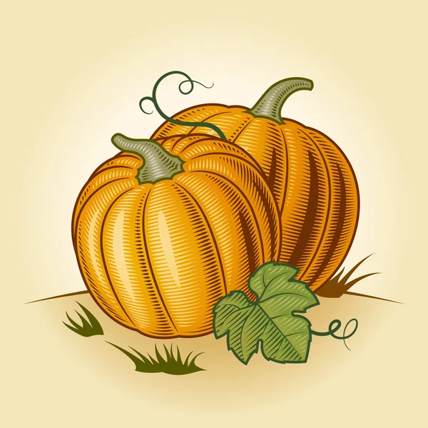 Retro pumpkins — Stok Vektör