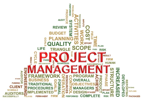 Etiquetas de gestión de proyectos — Foto de Stock