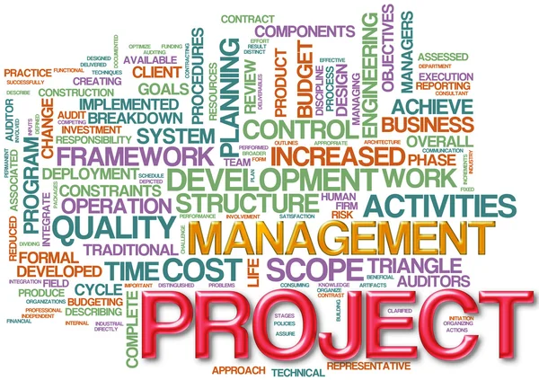Projektmanagement-Wordcloud — Stockfoto