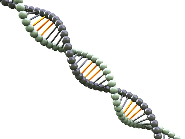 Molécule d'ADN — Photo