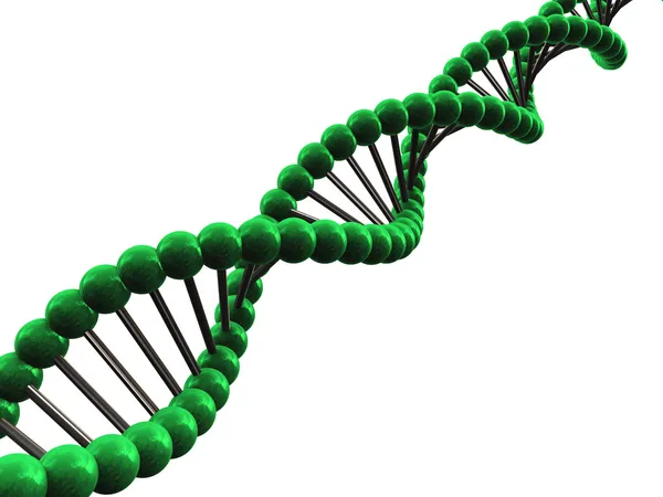 3D ДНК — стокове фото