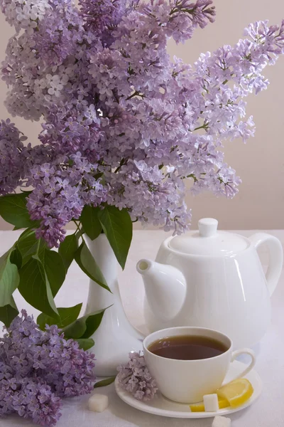 Morning Tea. Still life — Stock Photo, Image