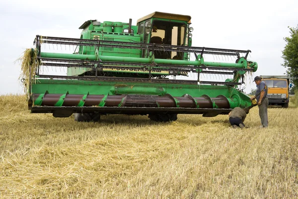 Cosechadora cosechadora cosechadora cereales de trigo —  Fotos de Stock