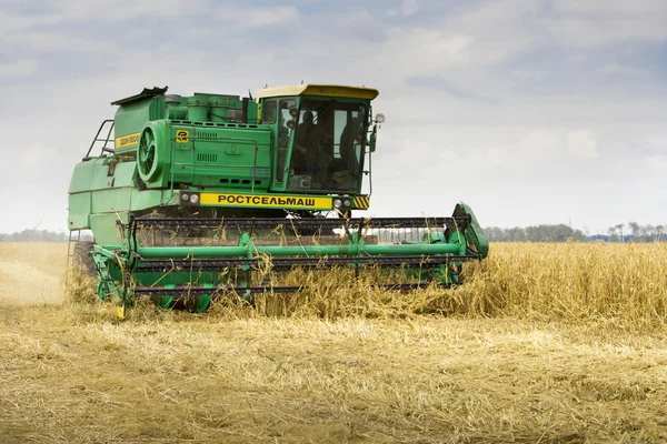 Combine harvester harvesting wheat cereal — Stock Photo, Image