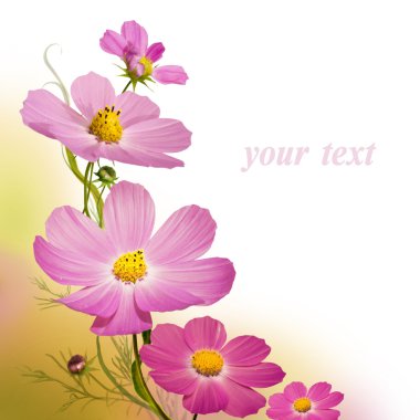 Floral background 