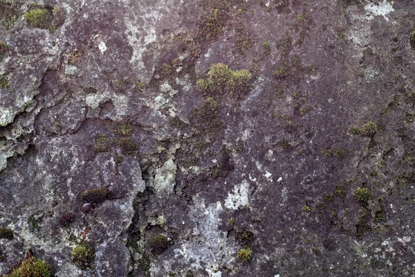 Oude granieten steen — Stockfoto