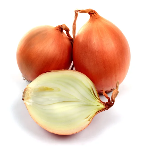 Bulbs of onion — Stock Photo, Image