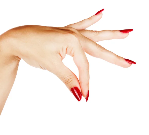 Руки женщины с красным маникюром — стоковое фото