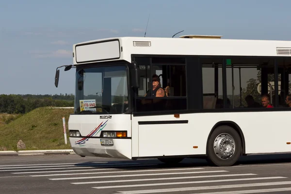 Белый автобус мчится по пешеходному переходу — стоковое фото