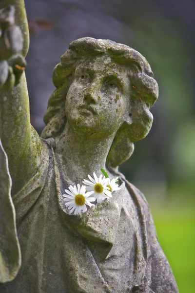 stock image Graveyard