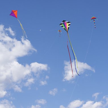Kites Flying clipart