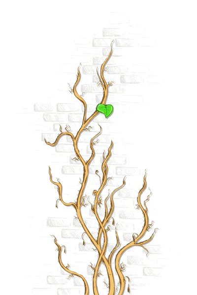 Dry Creeper on Wall — Stock Vector
